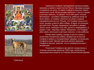 ГрейхаундГрейхаунд
Грейхаунд Гинфорт принадлежал одному рыцарю,Грейхаунд Гинфорт принадлежал одному рыцарю,
жившему в замке в окрестностях Лиона. Однажды рыцарьжившему в замке в окрестностях Лиона. Однажды рыцарь
отправился на охоту, оставив Гинфорта охранять своегоотправился на охоту, оставив Гинфорта охранять своего
маленького сына. Когда рыцарь вернулся с охоты и вошелмаленького сына. Когда рыцарь вернулся с охоты и вошел
в детскую комнату, то увидел, что в ней царит полныйв детскую комнату, то увидел, что в ней царит полный
беспорядок – колыбель перевернута, ребенка нигде небеспорядок – колыбель перевернута, ребенка нигде не
было видно, а Гинфорт скалился на своего хозяинабыло видно, а Гинфорт скалился на своего хозяина
окровавленной пастью. Решив, что Гинфорт загрыз егоокровавленной пастью. Решив, что Гинфорт загрыз его
сына, рыцарь в ярости убил собаку. И вдруг он услышалсына, рыцарь в ярости убил собаку. И вдруг он услышал
детский плач. Рыцарь перевернул колыбель и увиделдетский плач. Рыцарь перевернул колыбель и увидел
своего сына, лежащего под ней, целого и невредимого, асвоего сына, лежащего под ней, целого и невредимого, а
рядом с ним – мертвую гадюку. Оказалось, что Гинфортрядом с ним – мертвую гадюку. Оказалось, что Гинфорт
убил змею, вползшую в детскую комнату, и спас ребенка.убил змею, вползшую в детскую комнату, и спас ребенка.
Поняв свою ошибку, рыцарь и вся его семья сПоняв свою ошибку, рыцарь и вся его семья с
почестями похоронили собаку, воздвигнув на могилепочестями похоронили собаку, воздвигнув на могиле
Гинфорта камень и посадив вокруг деревья, устроив дляГинфорта камень и посадив вокруг деревья, устроив для
Гинфорта склеп. Вскоре местные жители призналиГинфорта склеп. Вскоре местные жители признали
Гинфорта святым, заметив, что он покровительствуетГинфорта святым, заметив, что он покровительствует
младенцам.младенцам.
Почитание Гинфорта как святого сохранялось вПочитание Гинфорта как святого сохранялось в
течение нескольких веков до 1930 года, несмотря натечение нескольких веков до 1930 года, несмотря на
неоднократные запреты со стороны Католической Церкви.неоднократные запреты со стороны Католической Церкви.
 