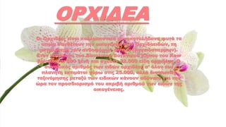 ΟΡΧΙΔΕΑ
Οι Ορχιδέες είναι καλλωπιστικά μονοκοτυλήδονα φυτά τα
οποία συνθέτουν την οικογένεια των Ορχιδοειδών, τη
μεγαλύτερη των ανθοφόρων φυτών (Αγγειόσπερμων).
Στον κατάλογο του Βασιλικού Βοτανικού Κήπου του Kew
βρίσκονται 880 γένη και σχεδόν 22.000 είδη ορχιδέας. Ο
συνολικός αριθμός των ειδών ορχιδέας σ' όλον τον
πλανήτη εκτιμάται γύρω στις 25.000, αλλά διαφωνίες
ταξινόμησης μεταξύ των ειδικών κάνουν αδύνατο για την
ώρα τον προσδιορισμό του ακριβή αριθμού των ειδών της
οικογένειας.
 