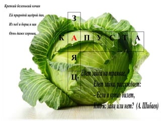 Крепкий беленький кочан
Ей природой щедрой дан.
Из неё и борщ и щи
Оень даже хороши.
З
К А П У С Т А
Я
Ц
 
