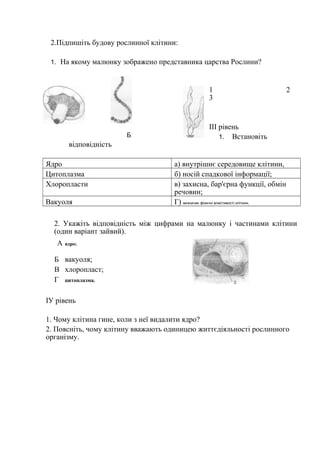 2.Підпишіть будову рослинної клітини:
1. На якому малюнку зображено представника царства Рослини?
1 2
3
ІІІ рівень
1. Встановіть
відповідність
Ядро а) внутрішнє середовище клітини,
Цитоплазма б) носій спадкової інформації;
Хлоропласти в) захисна, бар'єрна функції, обмін
речовин;
Вакуоля Г) визначає фізичні властивості клітини;
2. Укажіть відповідність між цифрами на малюнку і частинами клітини
(один варіант зайвий).
А ядро;
Б вакуоля;
В хлоропласт;
Г цитоплазма.
ІУ рівень
1. Чому клітина гине, коли з неї видалити ядро?
2. Поясніть, чому клітину вважають одиницею життєдіяльності рослинного
організму.
Б
 