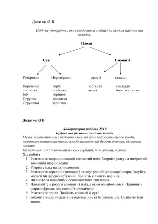 Додаток 43 Б
Плід- це утворення , яке складається з однієї чи кількох насінин та
оплодня.
Плоди
Сухі Соковиті
Розкривні Нерозкривні прості складні
Коробочка горіх кістянка супліддя
листянка сім’янка ягода багатокістянка
Біб горішок
Стручок крилатка
Стручечок зернівка
Додаток 43 В
Лабораторна робота №10
Будова та різноманітність плодів
Мета: ознайомитись з будовою плоду на прикладі кістянки або ягоди;
навчитись визначати типии плодів залежно від будови оплодня, кількості
насінин.
Обладнання: сухі і соковиті плоди в гербарії, натуральні, муляжі.
Хід роботи
1. Розгляньте запропонований соковитий плід. Зверніть увагу на шкірястий
зовнішній шар оплодня.
2. Розріжте плід на дві половини.
3. Розгляньте середній (мезокарп) та внутрішній (ендокарп) шари. Зясуйте,
мясисті чи деревянисті вони. Полічіть кількість насінин.
4. Визначте за вивченими особливостями тип плода.
5. Намалюйте в розрізі соковитий плід, з яким ознайомилмся. Підпишіть
шари цифрами, під якими їх перелічено.
6. Розгляньте плоди. Знайдіть соковиті й сухі.
7. соковиті плоди поділіть на однонасінні та багатонасінні. Визначте їхні
типии.
 