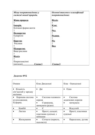 Додаток 49 Б
Ознаки Клас Дводольні Клас Однодольні
• Кількість
сім’ядолей у зародку
насінини
• Дві • Одна
• Коренева система
а) походження;
б) форма.
• Система головного
кореня
• Стрижнева,
мичкувата (рідко)
• Система
додаткових коренів
• мичкувата
• Камбій • Є • Відсутній
• Листки • Прості, складні;
пластинки суцільні, з
виїмками
• Прості, пластинки
суцільні
• Жилкування • Сітчасте (перисте,
пальчасте)
• Паралельне, дугове
Місце покритонасінних у
системі живої природи.
Жива природа
↑
Імперія
Клітинні форми життя
↑
Надцарство
Еукаріоти
↑
Царство
Рослини
↑
Підцарство
Вищі рослини
↑
Відділ
↑
Покритонасінні
(квіткові) Схема 1
Основні таксони в класифікації
покритонасінних
Відділ
↑
Клас
↑
Ряд
↑
Родина
↑
Рід
↑
Вид
Схема 2
 
