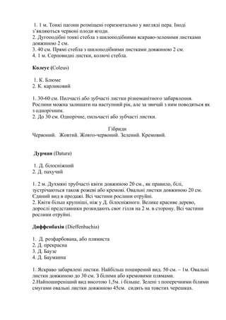 1. 1 м. Тонкі пагони розміщені горизонтально у вигляді пера. Іноді
з’являються червоні плоди ягоди.
2. Дугоподібні тонкі стебла з шилоподібними яскраво-зеленими листками
довжиною 2 см.
3. 40 см. Прямі стебла з шилоподібними листками довжиною 2 см.
4. 1 м. Серповидні листки, колючі стебла.
Колеус (Coleus)
1. К. Блюме
2. К. карликовий
1. 30-60 см. Пилчасті або зубчасті листки різноманітного забарвлення.
Рослини можна залишати на наступний рік, але за звичай з ним поводяться як
з однорічним.
2. До 30 см. Однорічне, пильчасті або зубчасті листки.
Гібриди
Червоний. Жовтий. Жовто-червоний. Зелений. Кремовий.
Дурман (Datura)
1. Д. білосніжний
2. Д. пахучий
1. 2 м. Духмяні трубчасті квіти довжиною 20 см., як правило, білі,
зустрічаються також рожеві або кремові. Овальні листки довжиною 20 см.
Єдиний вид в продажі. Всі частини рослини отруйні.
2. Квіти більш крупніші, ніж у Д. білосніжного. Велике красиве дерево,
дорослі представники розкидають своє гілля на 2 м. в сторону. Всі частини
рослини отруйні.
Диффенбахія (Dieffenbachia)
1. Д. розфарбована, або плямиста
2. Д. прекрасна
3. Д. Баузе
4. Д. Бауманна
1. Яскраво забарвлені листки. Найбільш поширений вид. 50 см. – 1м. Овальні
листки довжиною до 30 см. З білими або кремовими плямами.
2.Найпоширеніший вид висотою 1,5м. і більше. Зелені з поперечними білими
смугами овальні листки довжиною 45см. сидять на товстих черешках.
 