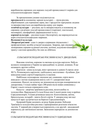 виробництва сировини для окремих галузей промисловості і кормів для
сільськогосподарських тварин.
За призначенням умовно поділяються на:
продовольчі (в основному зернові культури) — група рослин,
оброблюваних для отримання зерна, яке є продуктом харчування людини
та використовується для виробництва корму для тварин.
технічні культури — рослини, що їх використовують в основному як
сировину для різних галузей промисловості (харчової, текстильної,
миловарної, лакофарбової, фармацевтичної та ін.).
кормові культури— рослини (одно і багаторічні), що вирощуються на
корм сільськогосподарським тваринам.
Волокнисті культури.
Лікарські рослини - одне із джерел одержання лікувальних і
профілактичних засобів сучасної медицини. Зокрема, при лікуванні
захворювань серцево-судинної системи, печінки, шлунково-кишкового
тракту і системи кровообігу без них не обійтися.
. СІЛЬСЬКОГОСПОДАРСЬКІ РОСЛИНИ КЛАСУ ДВОДОЛЬНІ.
Важлива технічна, кормова та овочева культура картопля. Набула
великого поширення в Україні на присадибних та дачних ділянках. Її ще
називають другим хлібом.
Картопля - цінна культура, вміст крохмалю в деяких її сортах сягає
ЗО %. Розмножують картоплю, здебільшого, вегетативно - бульбами. Для
виведення нових сортів її вирощують із насіння.
Найбільше господарське значення має соняшник, сорти якого
виводили з метою підвищення вмісту олії. Є і декоративні види
соняшника. Взагалі, на початку ця заокеанська культура поширювалася як
декоративна. І тільки майже через 200 років після появи соняшника у
Європі з нього почали отримувати олію.
Капуста - дворічна трав'яниста рослина, вологолюбна та
холодостійка. Вирощувати її стали більш ніж 4 тисячі років тому в країнах
Середземномор'я. Головні різновиди капусти: білоголовкова, цвітна,
брюссельська, кольрабі - мають безліч сортів. У дикорослому вигляді
капуста й зараз зустрічається на берегах Середземномор'я.
Цукровий буряк належить до роду Буряк родини Лободові.
Трав'яниста холодостійка рослина з прикореневою розеткою м'ясистих
листків. У перший рік утворюється коренеплід, а на другий - висаджений
коренеплід дає квітконосні пагони. Запилення перехресне за допомогою
вітру.
СІЛЬСЬКОГОСПОДАРСЬКІ РОСЛИНИ КЛАСУ ОДНОДОЛЬНІ
148
 