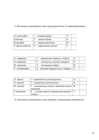 11 Встановіть відповідність між структурою білка і її характеристикою:
12 Встановіть відповідність між терміном і визначенням амінокислот:
А гемоглобін 1 зсідання крові А
Б міозин 2 захисні білки Б
В тромбін 3 скоротливі білки В
Г імуноглобулін 4 перенесення кисню Г
А первинна 1 закручення спіралі у глобулу А
Б вторинна 2 молекула у вигляді ланцюга Б
В третинна 3 поєднання глобул В
Г четвартинна 4 частково скручується у спіраль Г
А прості 1 в організмі не синтезуються А
Б замінні 2 в організмі синтезуються Б
В складні 3 складаються тільки з амінокислотних
залишків
В
Г незамінні 4 у складі мають залишки вуглеводів і
ліпідів
Г
25
 