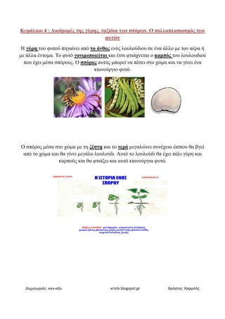 Δημιουργός: eva-edu
Κεφάλαιο 4 : ∆ιαδροµές της γύρης
Η γύρη του φυτού πηγαίνει από
µε άλλα έντοµα. Το φυτό γονιµοποιείται
που έχει µέσα σπόρους. Ο σπόρος
Ο σπόρος µέσα στο χώµα µε τη
από το χώµα και θα γίνει µεγάλο
καρπούς και θα
edu xristx.blogspot.gr
∆ιαδροµές της γύρης, ταξίδια των σπόρων. Ο πολλαπλασιασµός
φυτών
πηγαίνει από το άνθος ενός λουλούδιου σε ένα άλλο
γονιµοποιείται και έτσι φτιάχνεται ο καρπός
σπόρος αυτός µπορεί να πέσει στο χώµα και
καινούργιο φυτό.
στο χώµα µε τη ζέστη και το νερό µεγαλώνει συνέχεια
θα γίνει µεγάλο λουλούδι. Αυτό το λουλούδι θα έχει
καρπούς και θα φτιάξει και αυτό καινούργια φυτά
Χρήστος Χαρμπής
σπόρων Ο πολλαπλασιασµός των
λουλούδιου σε ένα άλλο µε τον αέρα ή
καρπός του λουλουδιού
πέσει στο χώµα και να γίνει ένα
µεγαλώνει συνέχεια ώσπου θα βγεί
λουλούδι θα έχει πάλι γύρη και
καινούργια φυτά.
 