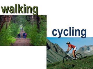 walkingwalking
cycling
 