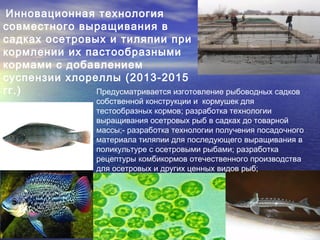 Органическое рыбоводство