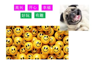 高兴 开心
好玩 有趣
幸福
 