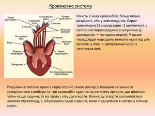 Особливості процесів життєдіяльності та поведінки плазунів | PPT