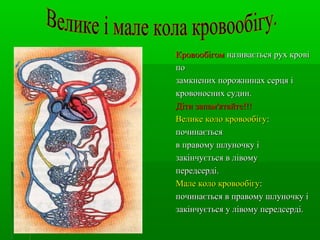Система органів кровообігу | PPT