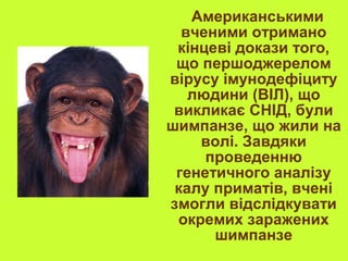 Американськими
вченими отримано
кінцеві докази того,
що першоджерелом
вірусу імунодефіциту
людини (ВІЛ), що
викликає СНІД, були
шимпанзе, що жили на
волі. Завдяки
проведенню
генетичного аналізу
калу приматів, вчені
змогли відслідкувати
окремих заражених
шимпанзе
 