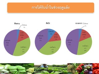 การได้รับน้าในช่วงฤดูแล้ง
น้าเพียงพอ
3%
ขาดน้า
เล็กน้อย
15%
ขาดน้าอย่าง
มาก
37%
ขาดน้าระดับ
วิกฤต
45%
พืชสวน
น้าเพียงพอ
10% ขาดน้า
เล็กน้อย
13%
ขาดน้าอย่าง
มาก
40%
ขาดน้าระดับ
วิกฤต
37%
พืชไร่ น้าเพียงพอ
4%
ขาดน้า
เล็กน้อย
15%
ขาดน้าอย่าง
มาก
34%
ขาดน้าระดับ
วิกฤต
47%
ยางพารา
 