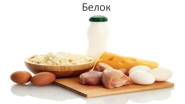 белок