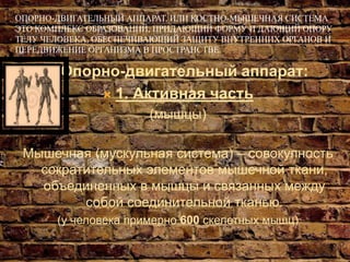 Опорно-Двигательный Аппарат | PPT
