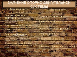 Опорно-Двигательный Аппарат | PPT