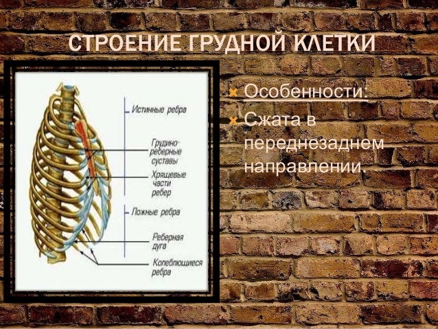 Опорно двигатель аппарата