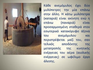 • Κάθε ανεμόμυλος έχει δύο
μυλόπετρες την μία επάνω
στην άλλη. Η κάτω μυλόπετρα
(καταριά) είναι ακίνητη ενώ η
επάνω (παναριά) είναι
προσαρμοσμένη σταθερά στον
εσωτερικό κατακόρυφο άξονα
του ανεμόμυλου και
περιστρέφεται μαζί του, σαν
τελικός αποδέκτης της
μετατροπής της κινητικής
ενέργειας του αέρα (αιολικής
ενέργειας) σε ωφέλιμο έργο
άλεσης.
 