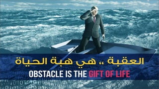 بذرة من الصخور