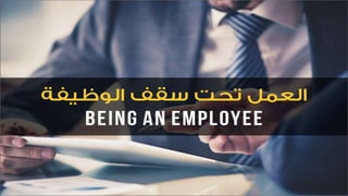 بذرة من الصخور