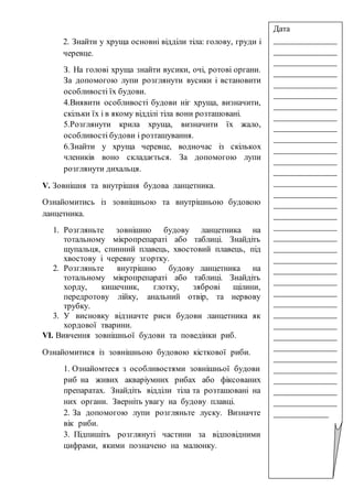 2. Знайти у хруща основні відділи тіла: голову, груди і
черевце.
З. На голові хруща знайти вусики, очі, ротові органи.
За допомогою лупи розглянути вусики і встановити
особливості їх будови.
4.Виявити особливості будови ніг хруща, визначити,
скільки їх і в якому відділі тіла вони розташовані.
5.Розглянути крила хруща, визначити їх жало,
особливості будови і розташування.
6.Знайти у хруща черевце, водночас із скількох
члеників воно складається. За допомогою лупи
розглянути дихальця.
V. Зовнішня та внутрішня будова ланцетника.
Ознайомитись із зовнішньою та внутрішньою будовою
ланцетника.
1. Розгляньте зовнішню будову ланцетника на
тотальному мікропрепараті або таблиці. Знайдіть
щупальця, спинний плавець, хвостовий плавець, під
хвостову і черевну згортку.
2. Розгляньте внутрішню будову ланцетника на
тотальному мікропрепараті або таблиці. Знайдіть
хорду, кишечник, глотку, зяброві щілини,
передротову лійку, анальний отвір, та нервову
трубку.
3. У висновку відзначте риси будови ланцетника як
хордової тварини.
VІ. Вивчення зовнішньої будови та поведінки риб.
Ознайомитися із зовнішньою будовою кісткової риби.
1. Ознайомтеся з особливостями зовнішньої будови
риб на живих акваріумних рибах або фіксованих
препаратах. Знайдіть відділи тіла та розташовані на
них органи. Зверніть увагу на будову плавці.
2. За допомогою лупи розгляньте луску. Визначте
вік риби.
3. Підпишіть розглянуті частини за відповідними
цифрами, якими позначено на малюнку.
Дата
_______________
_______________
_______________
_______________
_______________
_______________
_______________
_______________
_______________
_______________
_______________
_______________
_______________
_______________
_______________
_______________
_______________
_______________
_______________
_______________
_______________
_______________
_______________
_______________
_______________
_______________
_______________
_______________
_______________
_______________
_______________
_______________
_______________
_______________
_____________
 