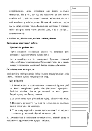 пристосування, дуже небезпечне для інших морських
мешканців. Річ у тім, що під час небезпеки ця риба-камінь
піднімає всі 12 товстих спинних плавців, які містять залози з
найсильнішою у світі отрутою. Отрута діє повільно, смерть
настає через декілька годин. Людина, яка вкололася її плавцем,
може померти навіть через декілька днів, а то й місяців….
(бородавчатка)
V. Робота над гіпотезами, висловленими учнями
Виконання практичної роботи
Практична робота № 4.
Тема: вивчення зовнішньої будови та поведінки риб;
зовнішньої будови птахів та будови пір’я.
Мета: ознайомитися із зовнішньою будовою кісткової
риби; особливостямизовнішньої будови та будови пір’я птахів,
вияснити залежність зовнішньої будови від способу життя.
Обладнання та матеріали:
живі риби та птахи; колекція пір'я; опудала птахів; таблиця «Клас
Птахи. Зовнішня будова голуба»; комп'ютер.
ХІД РОБОТИ
І. 1. Ознайомтеся з особливостями зовнішньої будови риб
на живих акваріумних рибах або фіксованих препаратах.
Знайдіть відділи тіла та розташовані на них органи.
Зверніть увагу на будову плавців.
2. За допомогою лупи розгляньте луску. Визначте вік риби.
3. Підпишіть розглянуті частини за відповідними цифрами,
якими позначено на малюнку.
4. У висновку перелічіть ознаки пристосованості до водного
середовища у зовнішній будові кісткових риб.
ІІ. 1.Ознайомтесь із загальним виглядом птаха. Зверніть увагу на
особливості будови голови, тулуба і кінцівок.
Дата
_______________
_______________
_______________
_______________
_______________
_______________
_______________
_______________
_______________
_______________
_______________
_______________
_______________
_______________
_______________
_______________
_______________
_______________
_______________
_______________
_______________
_______________
_______________
_______________
_______________
_______________
_______________
_______________
_______________
_______________
_______________
_______________
_______________
_______________
_____________
 