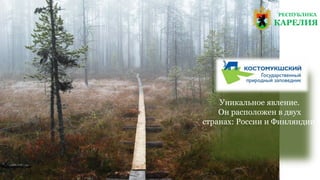 РЕСПУБЛИКА
КАРЕЛИЯ
Уникальное явление.
Он расположен в двух
странах: России и Финляндии
 