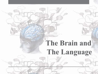 The Brain and
The Language
 