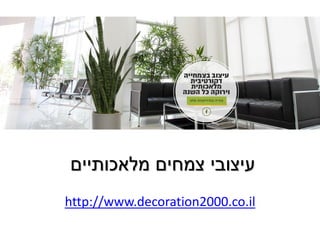 ‫מלאכותיים‬ ‫צמחים‬ ‫עיצובי‬
.co.il2000http://www.decoration
 