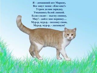 Я – домашний кот Маркиз,
Все зовут меня: «Кис-кис!»
Утром делаю зарядку,
Умываюсь белой лапкой.
Если гладят – выгну спинку,
Мяу! - дайте мне перинку…
Мур-р, мур-р, - песенку спою,
Мур-р, мур-р, - ласковую!
 