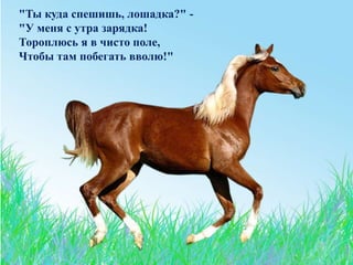 "Ты куда спешишь, лошадка?" -
"У меня с утра зарядка!
Тороплюсь я в чисто поле,
Чтобы там побегать вволю!"
 