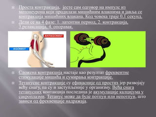  Проста контракција, јесте сам одговор на импулс из
мотонеурона који продилази мишићним влакнима и јавља се
контракција мишићних влакана. Код човека траје 0,1 секунд.
 Дели се на 4 фазе: 1. латентни период, 2. контракција,
3.релаксација, 4. опоравак.
 Сложена контракција настаје као резултат фреквентне
стимулације мишића и сумирања контракције.
 Тетанусне контракције су ефикасније од простих јер развојају
већу снагу, па су и заступљеније у организму. Већа снага
тетанусних контакција последица је акумулације калцијума у
сакроплазми. Тетанус може да буде потпун или непотпун, што
зависи од фреквенције надражаја.
 