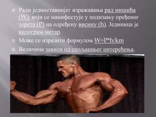  Ради једноставнијег изражавања рад мишића
(W), који се манифестује у подизању оређеног
терета (P) на одређену висину (h). Јединица је
килограм-метар.
 Може се изразити формулом W=P*h/km
 Величина зависи од спољашњег оптерећења.
 