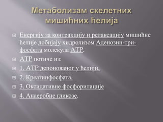  Енергију за контракцију и релаксацију мишићне
ћелије добијају хидролизом Аденозин-три-
фосфата молекула ATP.
 ATP потиче из:
 1. ATP депонованог у ћелији,
 2. Креатинфосфата,
 3. Оксидативне фосфорилације
 4. Анаеробне гликозе.
 