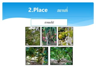 2.Place สถานที่
สวนผลไม้
 
