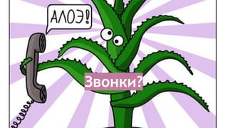 Звонки?
 