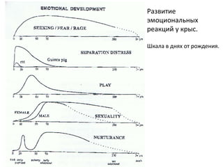 Развитие
эмоциональных
реакций у крыс.
Шкала в днях от рождения.
 