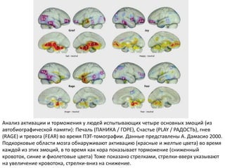 Анализ активации и торможения у людей испытывающих четыре основных эмоций (из
автобиографической памяти): Печаль (ПАНИКА / ГОРЕ), Счастье (PLAY / РАДОСТЬ), гнев
(RAGE) и тревога (FEAR) во время ПЭТ-томографии. Данные представлены А. Дамасио 2000.
Подкорковые области мозга обнаруживают активацию (красные и желтые цвета) во время
каждой из этих эмоций, в то время как кора показывает торможение (сниженный
кровоток, синие и фиолетовые цвета) Тоже показано стрелками, стрелки-вверх указывают
на увеличение кровотока, стрелки-вниз на снижение.
 