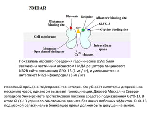 Показатель игрового поведения гедонические USVs были
увеличены частичным агонистом НМДА рецептора глицинового
NR2B сайта связывания GLYX-13 (1 мг / кг), и уменьшается на
антагонист NR2B ифенпродил (3 мг / кг)
Известный пример антидепрессантов кетамин. Он убирает симптомы депрессии за
несколько часов, однако он вызывает галлюцинации. Джозеф Москал из Северо-
западного Университета протестировал похожее средство под названием GLYX-13. В
итоге GLYX-13 улучшало симптомы за два часа без явных побочных эффектов. GLYX-13
под маркой рапастинель в ближайшее время должен быть допущен на рынок.
 