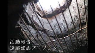 遠藤部族プロジェクト
活動報告
 