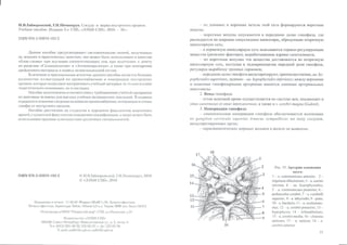 Гайворонский_кровоснабженеи_иннервация_внутренних_орг | PPT