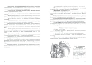 Гайворонский_кровоснабженеи_иннервация_внутренних_орг | PPT