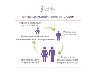 ІМУНІТЕТ ДО КАШЛЮКУ ЗНИЖУЄТЬСЯ З ЧАСОМ
Первинна вакцинація
у 2, 4, 6 місяців
Ревакцинація
у 18 місяців
Невакциновані або частково
вакциновані малюки: ризик ускладнень
Підлітки та дорослі –
резервуар інфекції
За відсутності
ревакцинації імунітет
із часом знижується
 