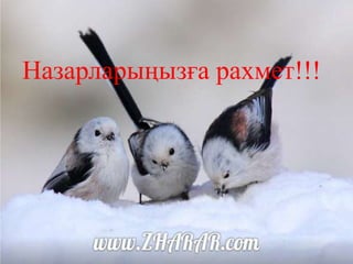 Назарларыңызға рахмет!!!
 