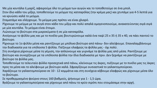 Με μία κουτάλα ή μαρίζ, αφαιρούμε όλο το μείγμα των αυγών και το τοποθετούμε σε ένα μπολ.
Στον ίδιο κάδο του μίξερ, τοποθετούμε το μείγμα της κατσαρόλας (την κρέμα μας) και χτυπάμε για 4-5 λεπτά για
να κρυώσει καλά το μείγμα.
Σταματάμε και ελέγχουμε. Το μείγμα μας πρέπει να είναι χλιαρό.
Ρίχνουμε το μείγμα με τα αυγά στον κάδο του μίξερ και πολύ απαλά ομογενοποιούμε, ανακατεύοντας σιγά σιγά
με μία κουτάλα. Το μείγμα είναι έτοιμο.
Λιώνουμε το βούτυρο στα μικροκύματα ή σε μία κατσαρόλα.
Ανοίγουμε το φύλλο μας και με το πινέλο μας βουτυρώνουμε καλά ένα ταψί 25 x 35 ή 35 x 40, να πάει παντού το
βούτυρο.
Ρίχνουμε το 1ο φύλλο μέσα και ραντίζουμε με μπόλικο βούτυρο από πάνω- δεν αλείφουμε. Επαναλαμβάνουμε
την διαδικασία για τα υπόλοιπα 5 φύλλα. Πιέζουμε ελαφρώς τα φύλλα μας - όχι πολύ.
Στη συνέχεια ρίχνουμε μέσα τη γέμιση, την απλώνουμε και γυρνάμε τα φύλλα μας από μέσα. Ραντίζουμε με
βούτυρο και συνεχίζουμε με τα υπόλοιπα φύλλα την ίδια διαδικασία με πριν. Δεν ξεχνάμε να ραντίζουμε με
βούτυρο τα φύλλα μας.
Τοποθετούμε το τελευταίο φύλλο προσεχτικά από πάνω, κλείνουμε τις άκρες, πιέζουμε με το πινέλο μας τις άκρες
προς τα μέσα και το αλείφουμε με βούτυρο καλά. Σφραγίζουμε ουσιαστικά το γαλακτομπούρεκο.
Χαράζουμε το γαλακτομπούρεκο σε 10 - 12 κομμάτια και στη συνέχεια κόβουμε ελαφρώς και ρίχνουμε μέσα όλο
το βούτυρο.
Σε προθερμασμένο φούρνο στους 160 βαθμούς, ψήνουμε για 1 - 1,5 ώρα.
Βγάζουμε το γαλακτομπούρεκο και ρίχνουμε από πάνω το κρύο σιρόπι που ετοιμάσαμε στην αρχή.
 