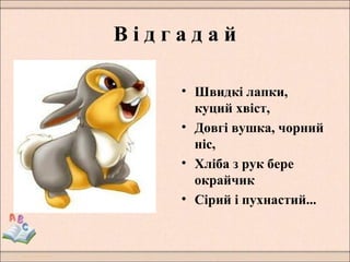 В і д г а д а й
• Швидкі лапки,
куций хвіст,
• Довгі вушка, чорний
ніс,
• Хліба з рук бере
окрайчик
• Сірий і пухнастий...
 