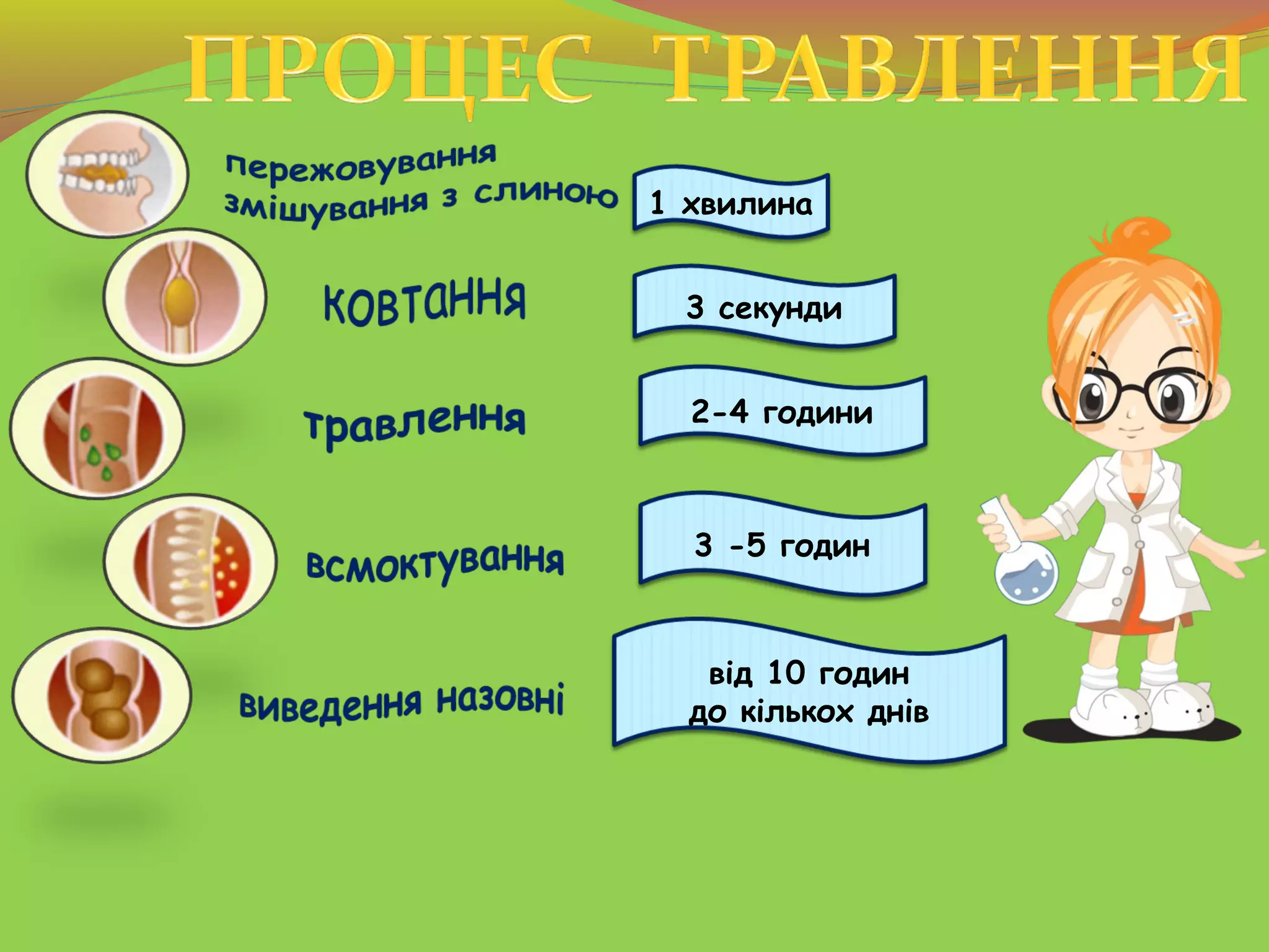 1 хвилина
3 секунди
2-4 години
3 -5 годин
від 10 годин
до кількох днів
 
