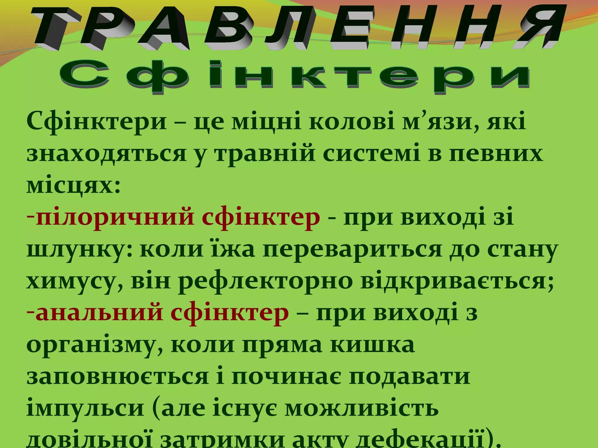 Сфінктери – це міцні колові м’язи, які
знаходяться у травній системі в певних
місцях:
-пілоричний сфінктер - при виході зі
шлунку: коли їжа перевариться до стану
химусу, він рефлекторно відкривається;
-анальний сфінктер – при виході з
організму, коли пряма кишка
заповнюється і починає подавати
імпульси (але існує можливість
довільної затримки акту дефекації).
 