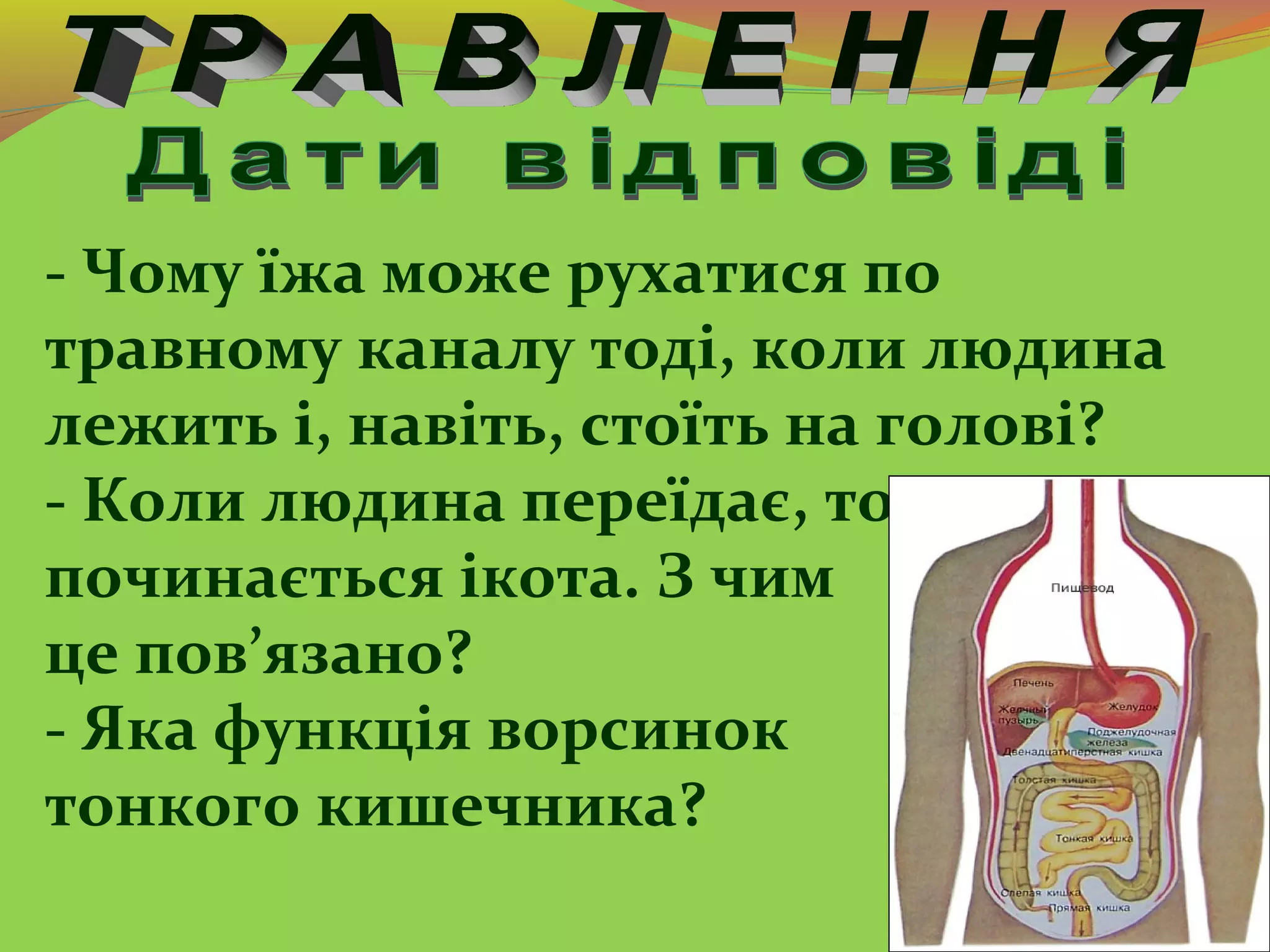 - Чому їжа може рухатися по
травному каналу тоді, коли людина
лежить і, навіть, стоїть на голові?
- Коли людина переїдає, то
починається ікота. З чим
це пов’язано?
- Яка функція ворсинок
тонкого кишечника?
 