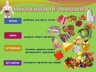 БІЛКИ необхідні для росту клітин
ЖИРИ
джерело енергії організму
ВУГЛЕВОДИ
ВІТАМІНИ захищають організм від хвороб
Основне д...